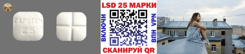что такое   Зубцов  LSD-25 экстази кислота 