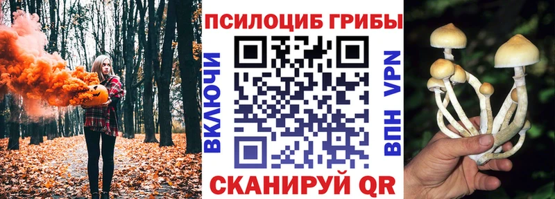 mega ССЫЛКА  Зубцов  Псилоцибиновые грибы Cubensis 